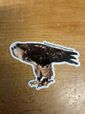 Ed Bird Stickers