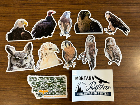 Sticker Bundle
