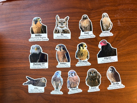 Raptors of MRCC Sticker Bundle