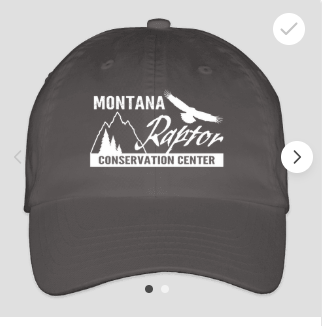 Low Profile Hat