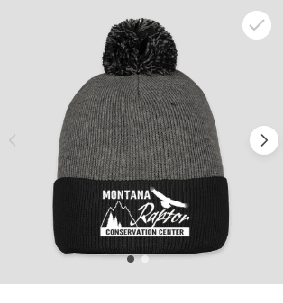 Pom Pom Beanie