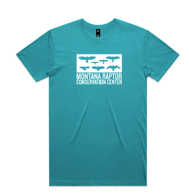 Adult Short Sleeve Silhouette