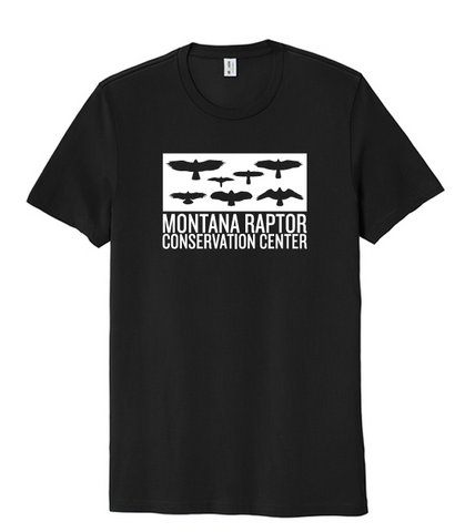 Short Sleeve Black Block Silhouettes