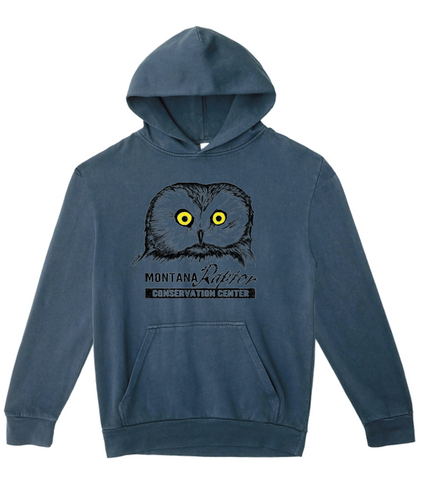 Saw Whet Owl Hoodie- Navy