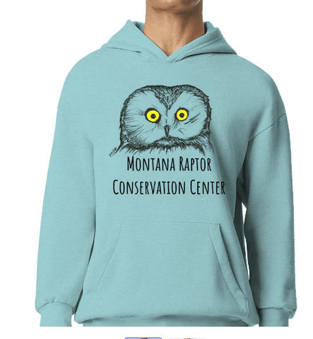 Saw Whet Owl Hoodie- Adult